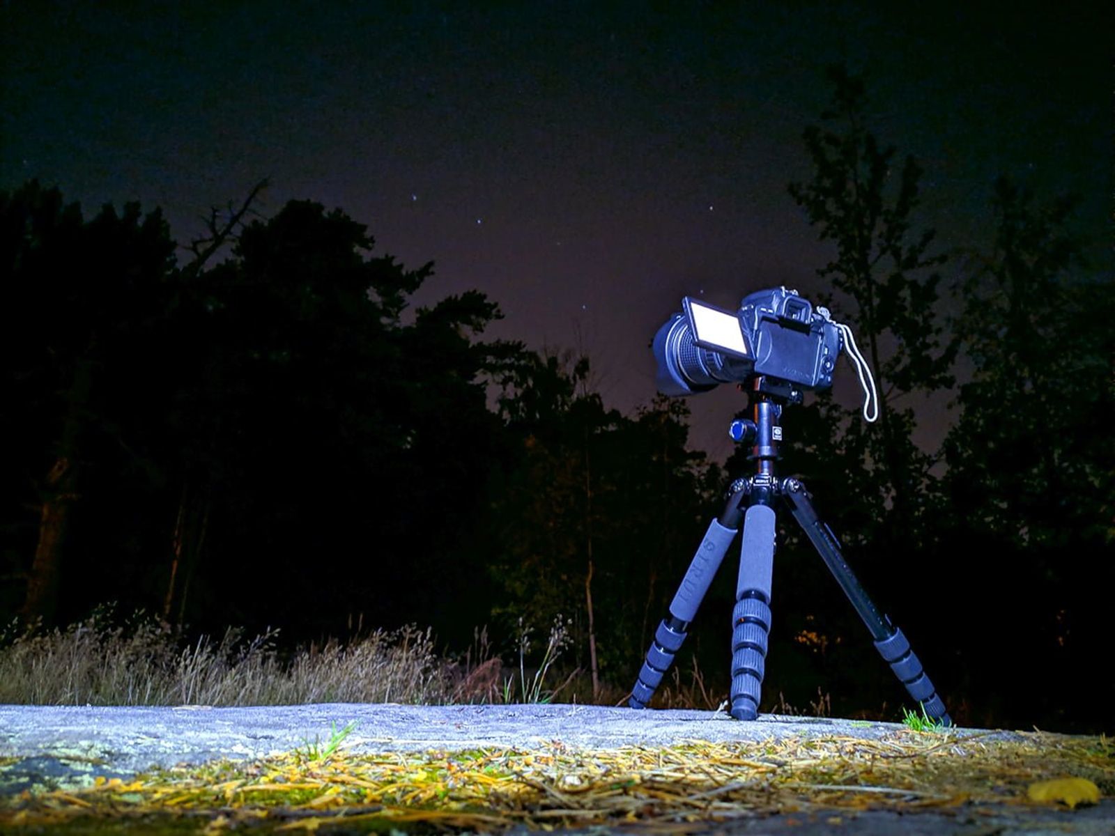 Kamera kolmijalalla kohti tähtitaivasta pimeässä metsässä