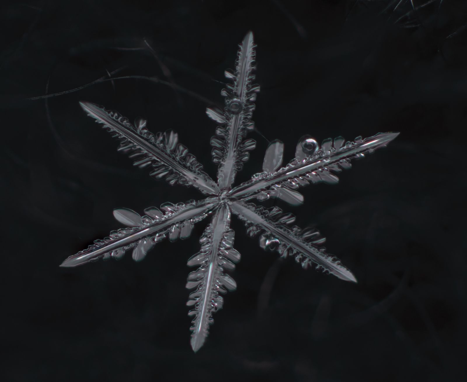 Makrokuva lumihiutaleesta, jossa kaikki eri kuvat ovat yhdistetty yhdeksi tarkaksi kuvaksi, jossa koko hiutale on tarkka.
