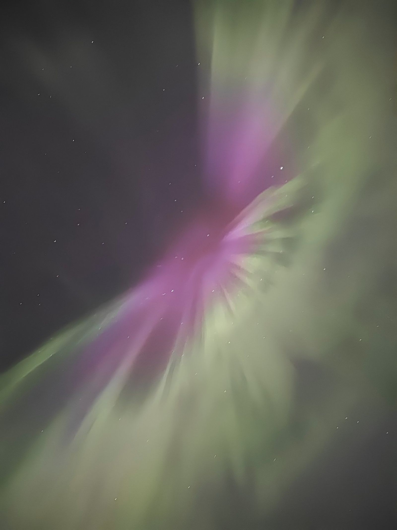 Revontulet suoraan maasta ylöspäin kuvattuna puhelimella.