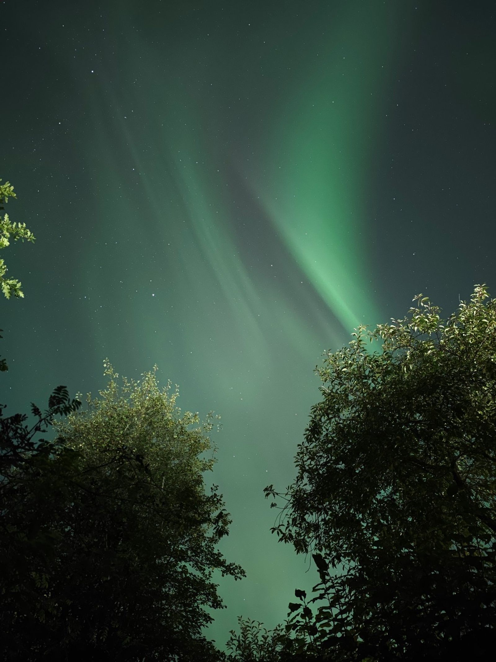 Revontulia ja tähtiä manuaalisilla puhelimen Pro-kuvaus asetuksilla.