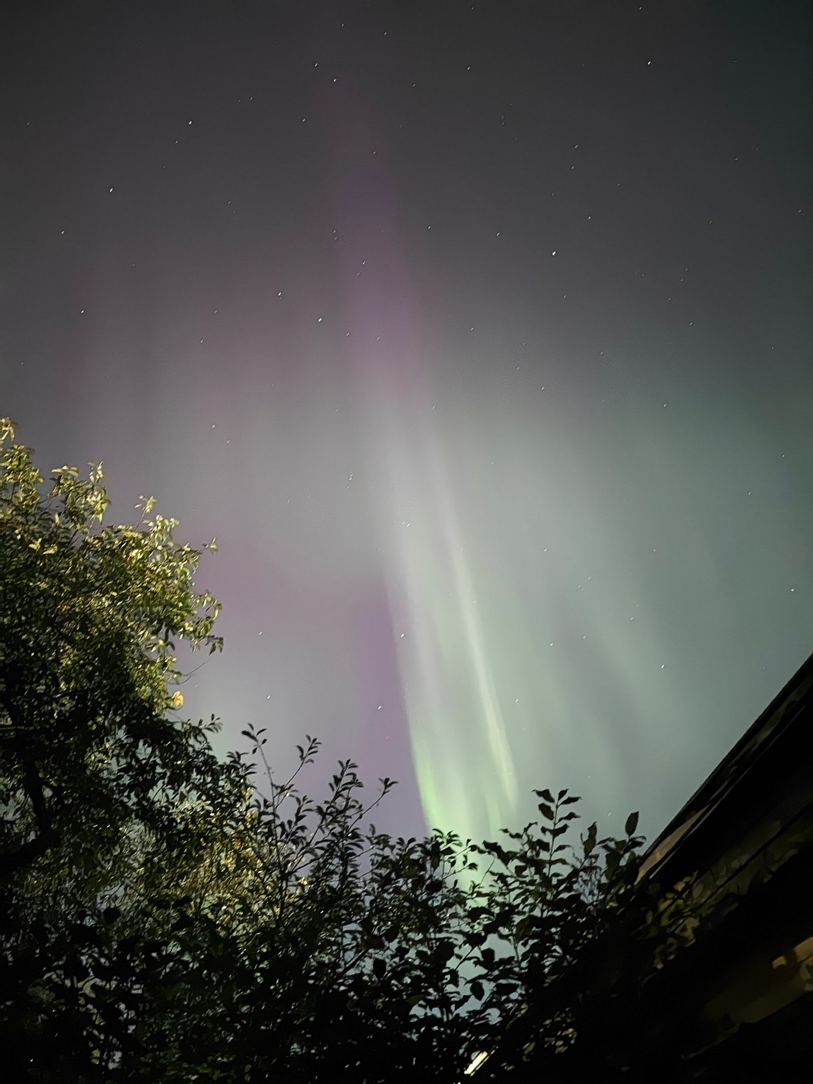 Revontulet takapihalta kännykällä kuvattuna.
