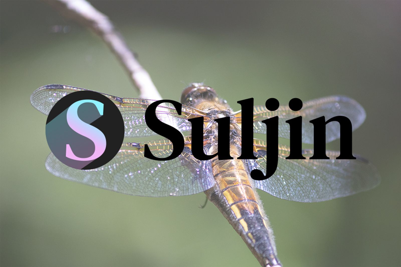 JPG-kuva sudenkorennosta ja sen päällä olevasta Sulkimen logosta