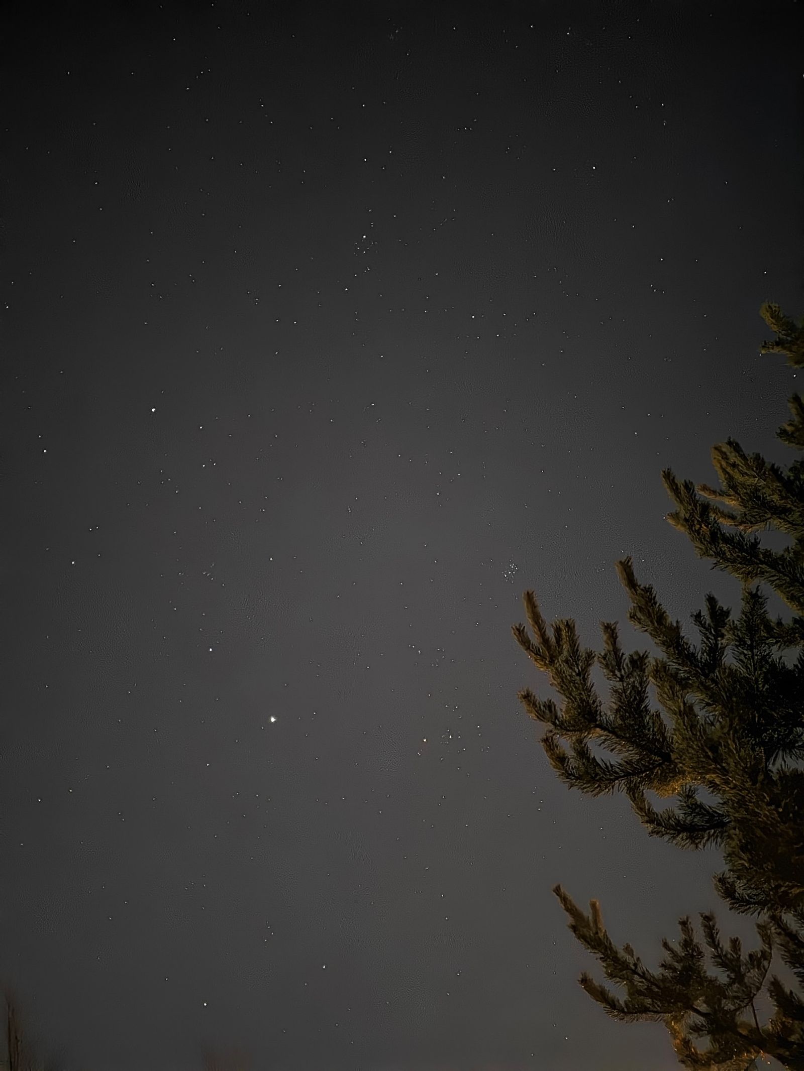 Tähtitaivas ja puun oksia kuvattuna kännykällä automaattisella yökuvauksella