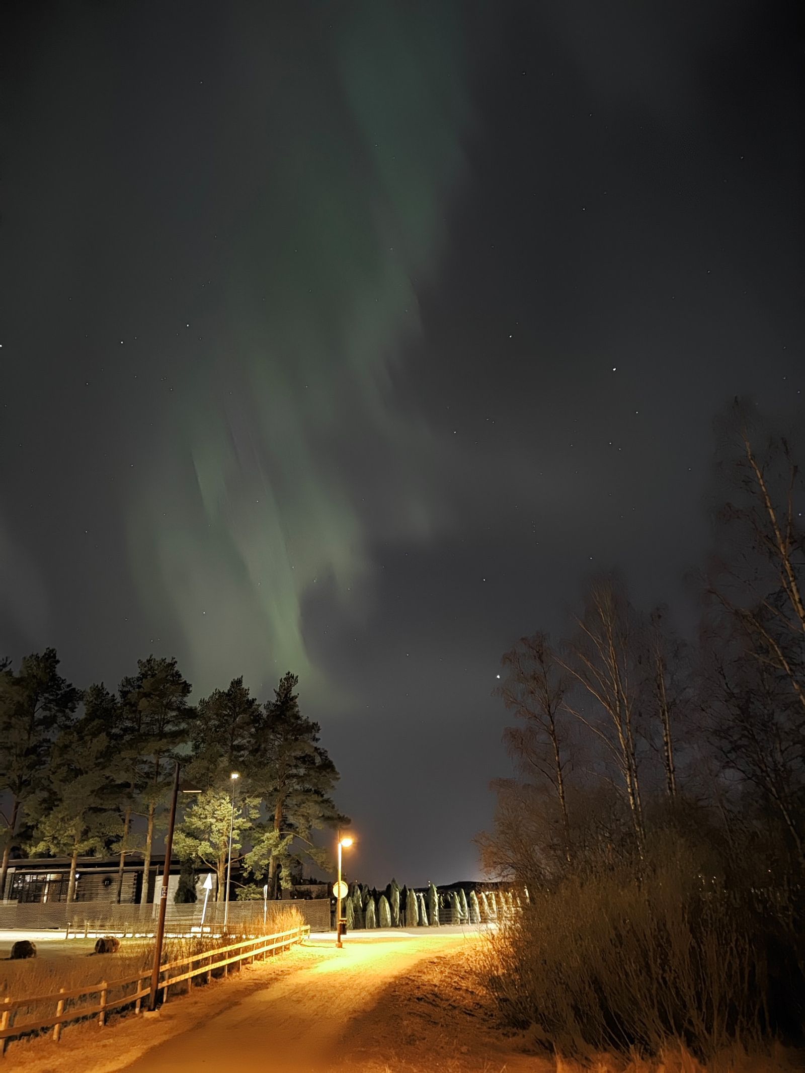 Revontulia ja tähtiä iltalenkillä kuvattuna puhelimella