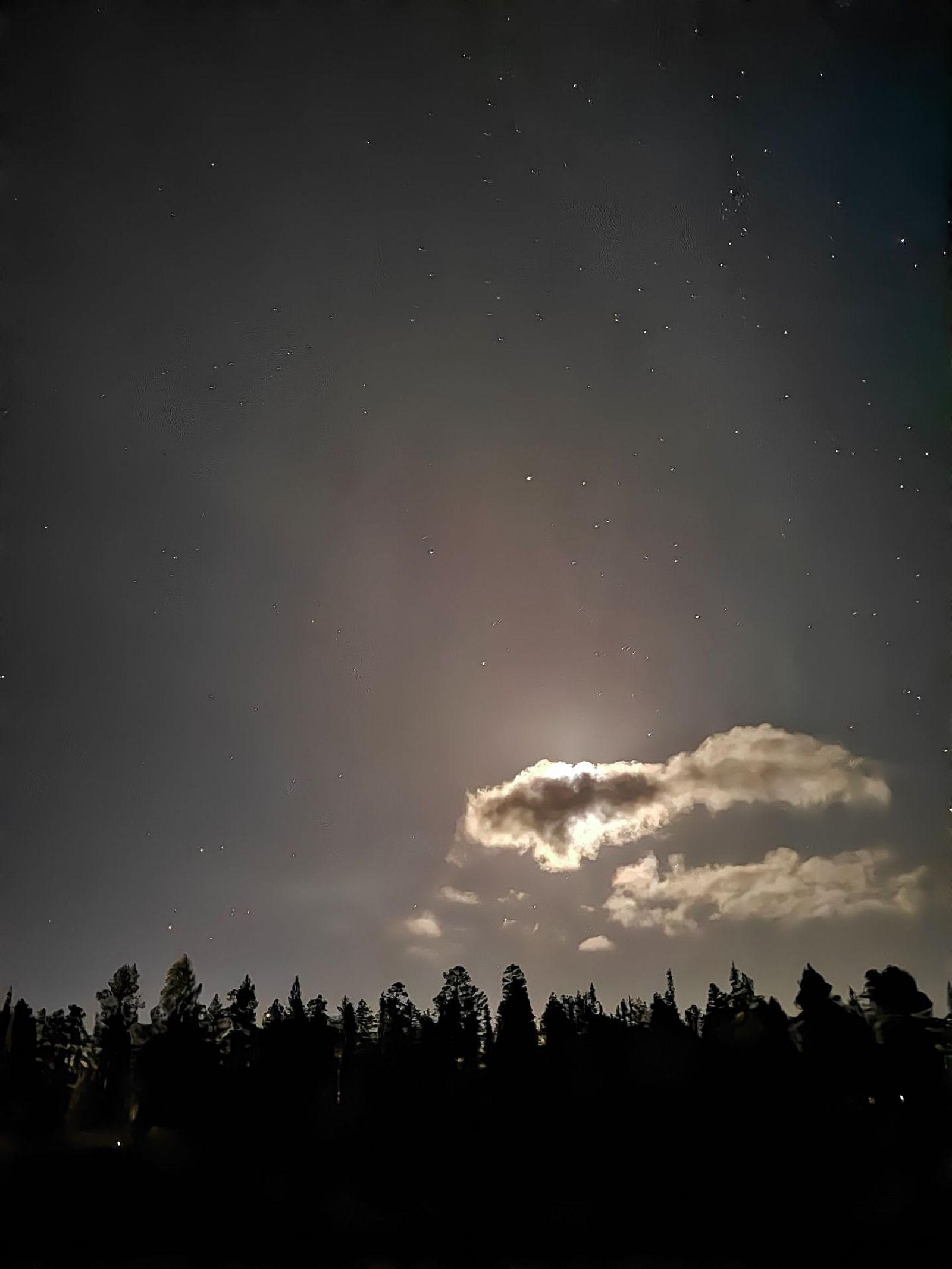 Tähtitaivas puiden yläpuolella, kuu loistaa pilven läpi