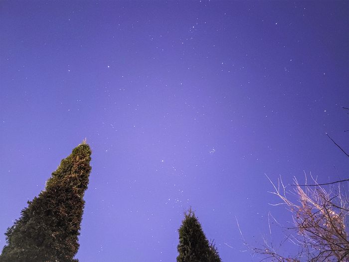 Tähtitaivas kuvattuna kännykällä omalta takapihaltani. Kuvassa näkyy hieman tähtiä, mutta myös paljon valosaastetta.