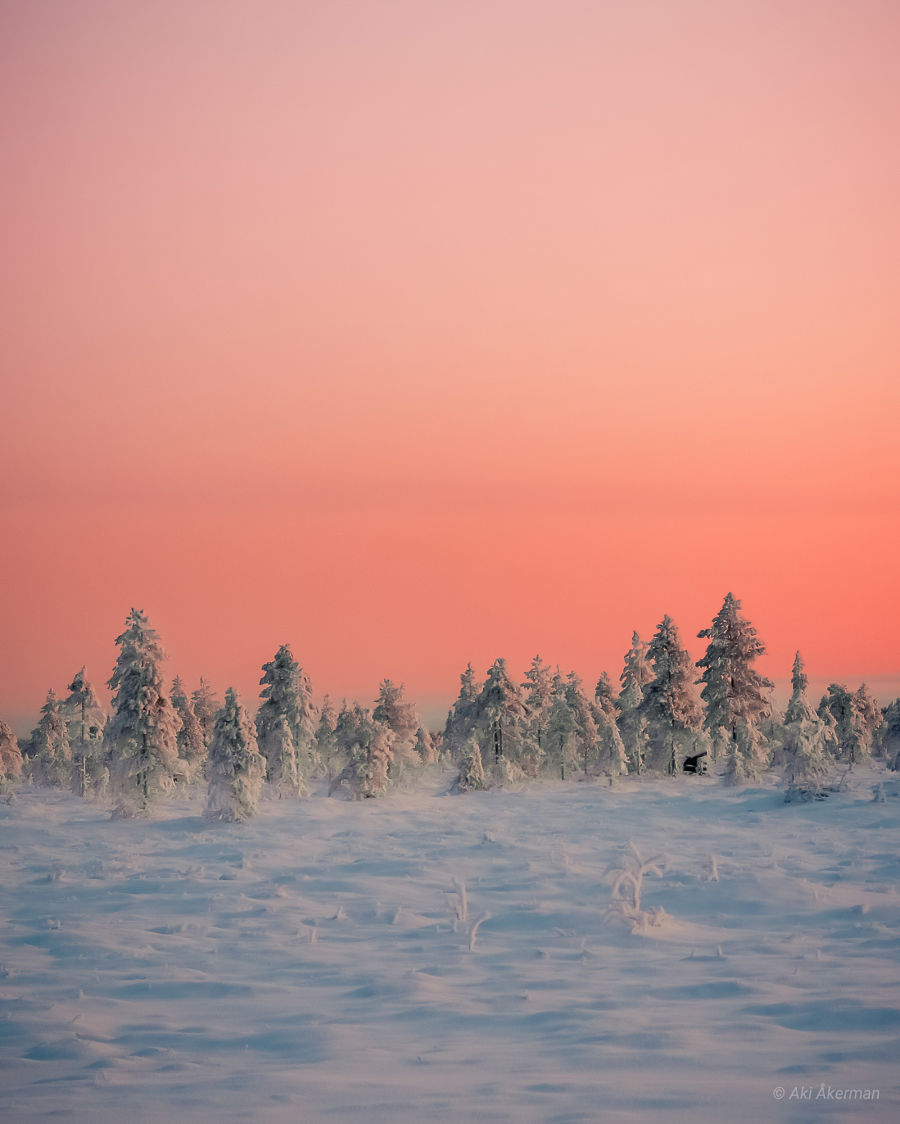 Metsämaisema, jossa näkyy lumen peittämää luontoa ja sen päällä kirkkaan oranssi taivas.