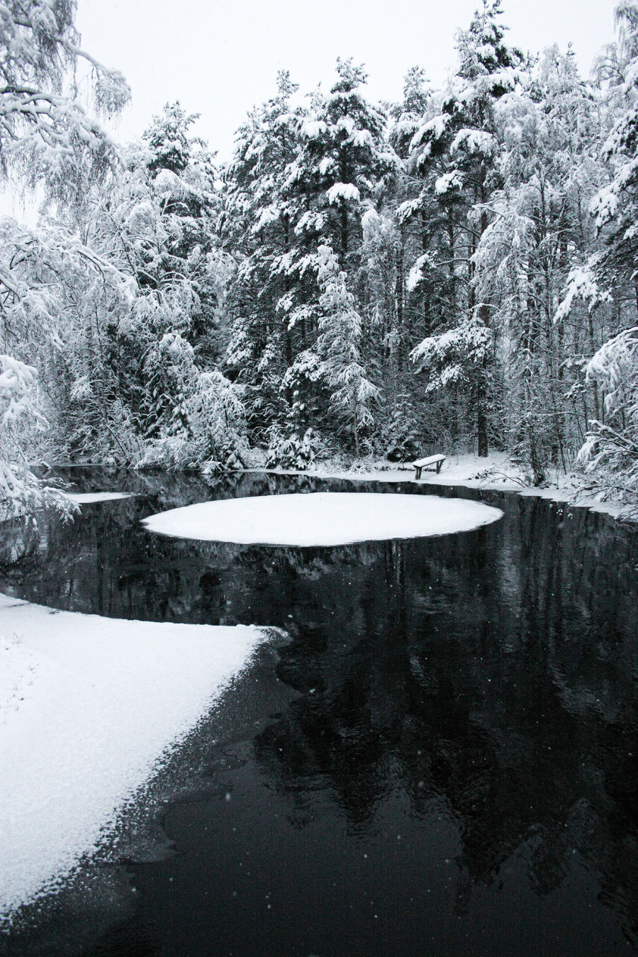 Metsän keskellä olevaan jokeen muodostunut ympyränmuotoinen jäälautta, joka pyörii joen virran voimalla