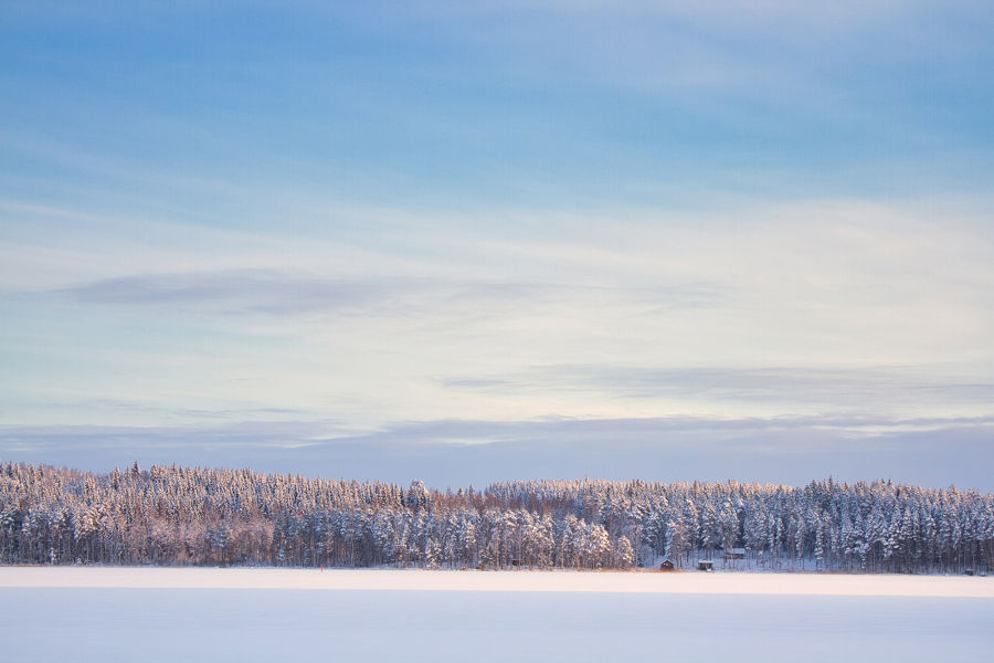 Jäätynyt järvimaisema, jonka taustalla näkyy vaaleita puita ja sininen taivas