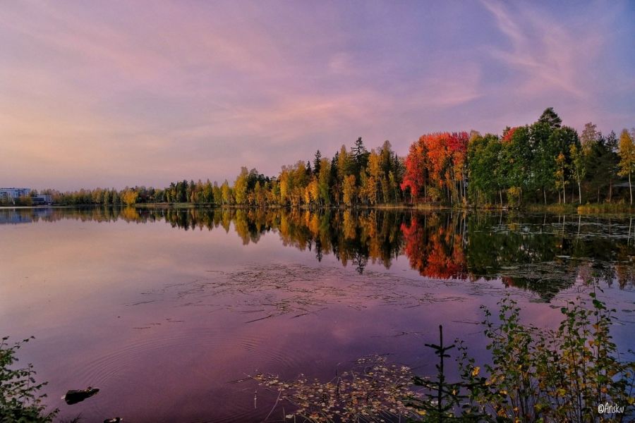 Värikäs maisema järvellä syksyllä