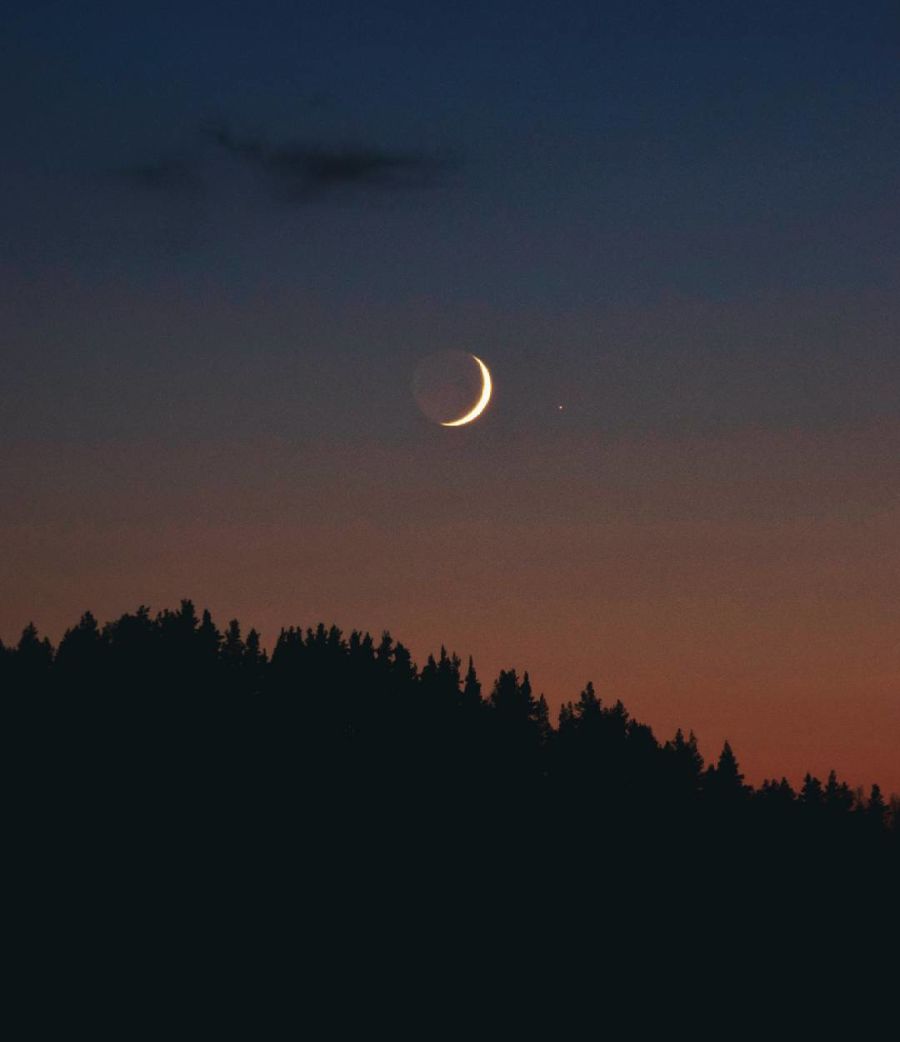 Kuu ja venus metsän yllä yötaivaalla