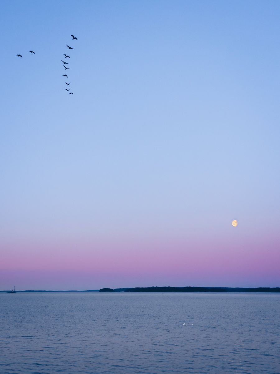 Sininen hetki, linnut lentävät taivaalla ja taustalla näkyy kuu